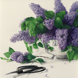 Lilacs