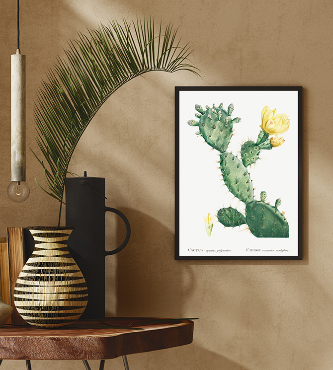 Featured Selections 7 - CactusIV